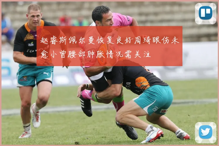 赵睿斯佩尔曼恢复良好周琦眼伤未愈小曾腰部肿胀情况需关注