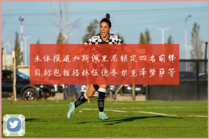 米体报道加斯佩里尼锁定四名前锋目标包括格林伍德齐尔克泽努萨等人